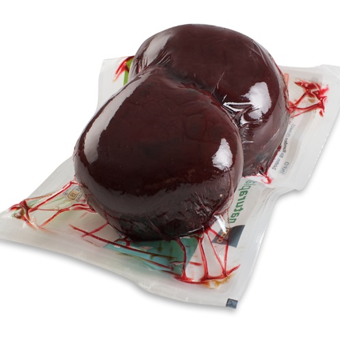 GreenPak_forming_film_for_meat_packaging_06